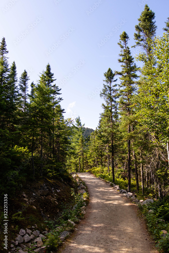 A path in a national park in the Charlevoix region of Quebec, Canada. 