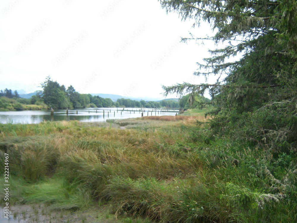 landscape with river and trees landscape with river and trees