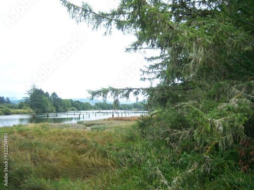 landscape with river