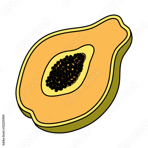 tropical papaya fruit isolated icon