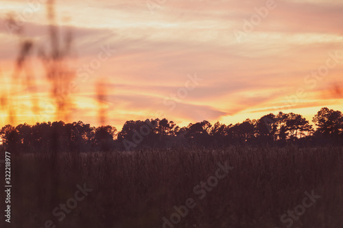 Satilla River sunset shot through marsh.