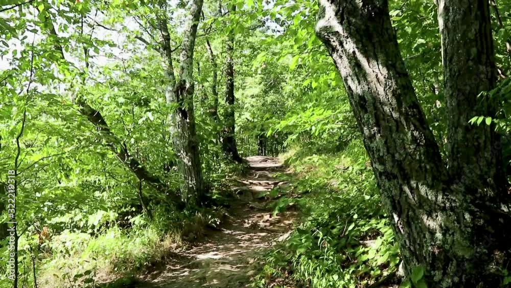 Beautiful day for a hike in a national park. Stationed camera. Beautiful day for a hike in a national park. Stationed camera.