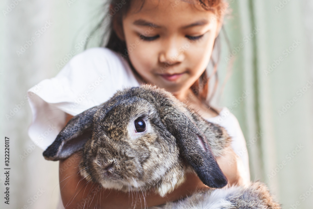 Cute asian child girl carrying and playing with cute Holland lop rabbit with love and tenderness at easter festive Cute asian child girl carrying and playing with cute Holland lop rabbit with love and tenderness at easter festive