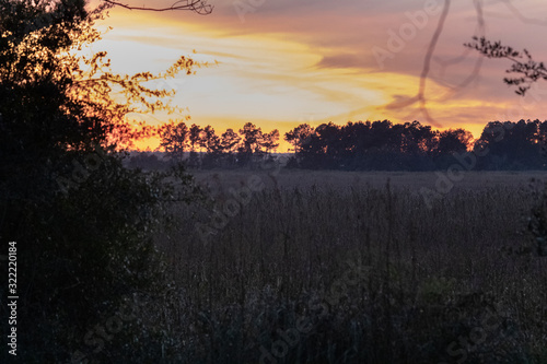 Sun setting over the Satilla River marsh.