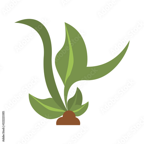 plant ecology cultivating isolated icon