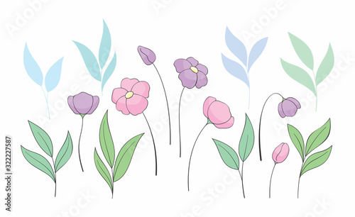 Beautiful spring flowers set. Colorful vector illustration isolated on a white background.