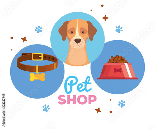 pet shop with dog and icons