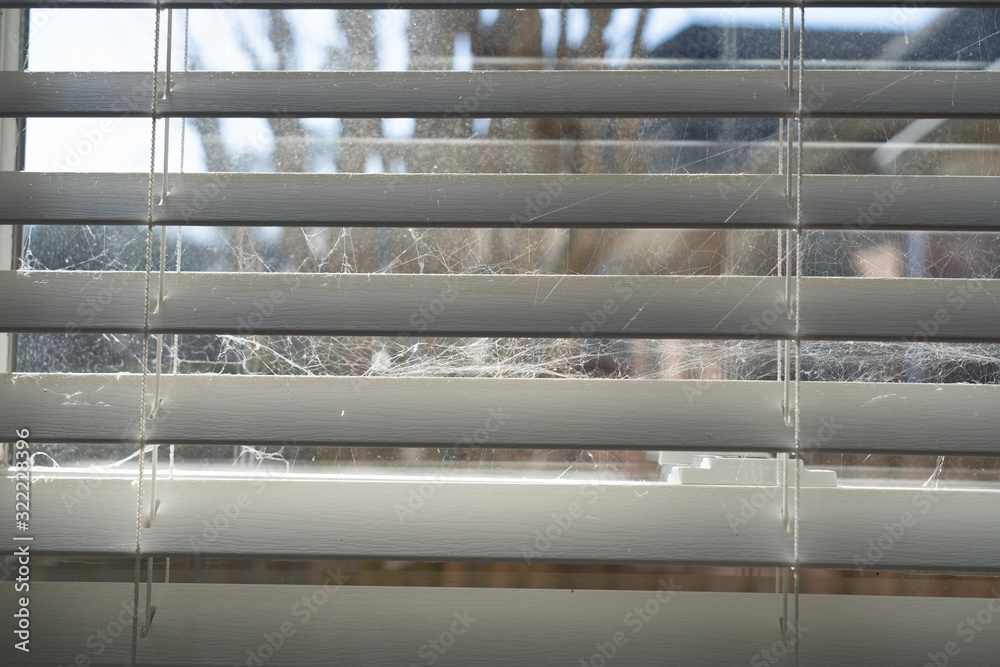 Φωτογραφία Wooden blings open to reveal cobwebs on this dirty, nasty window in a residential sunroom