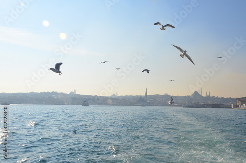 A cruise across or along the Bosphorus is the best way to explore Istanbul skyline. Seagull flying around the ferry.