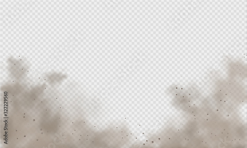Dust cloud, sand storm, powder spray on transparent background. Desert wind with cloud of dust and sand. Realistic vector illustration.
