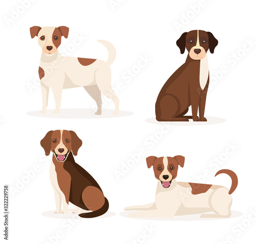 group of dogs animals icons