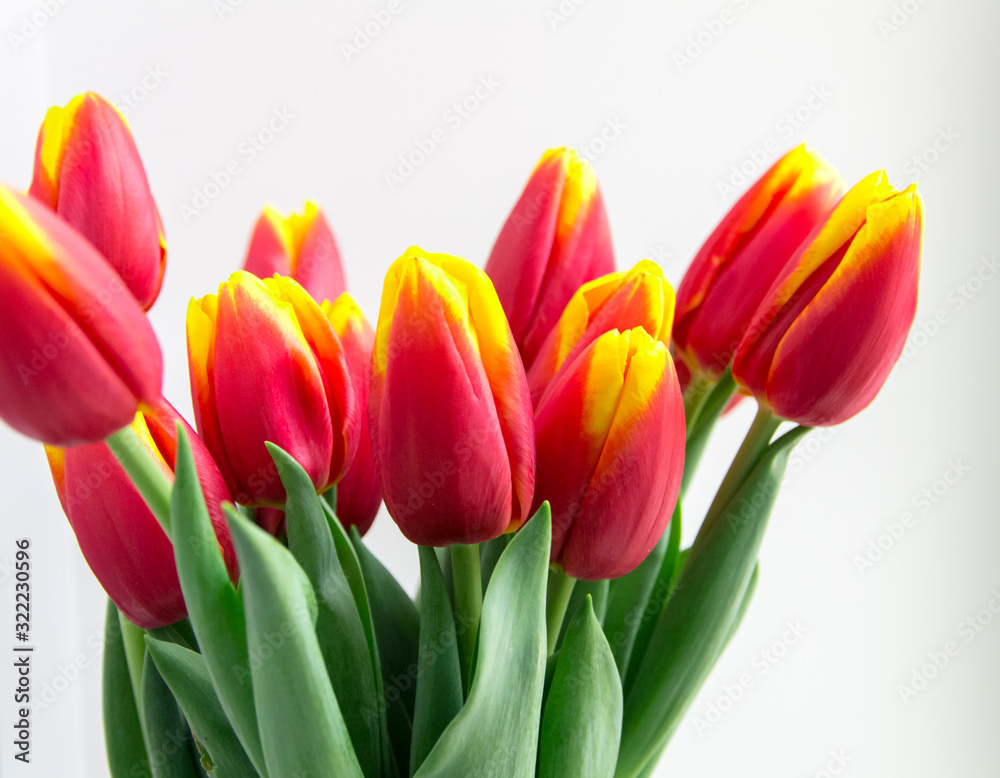 Bouquet isolated red yellow tulips in vase Bouquet isolated red yellow tulips in vase