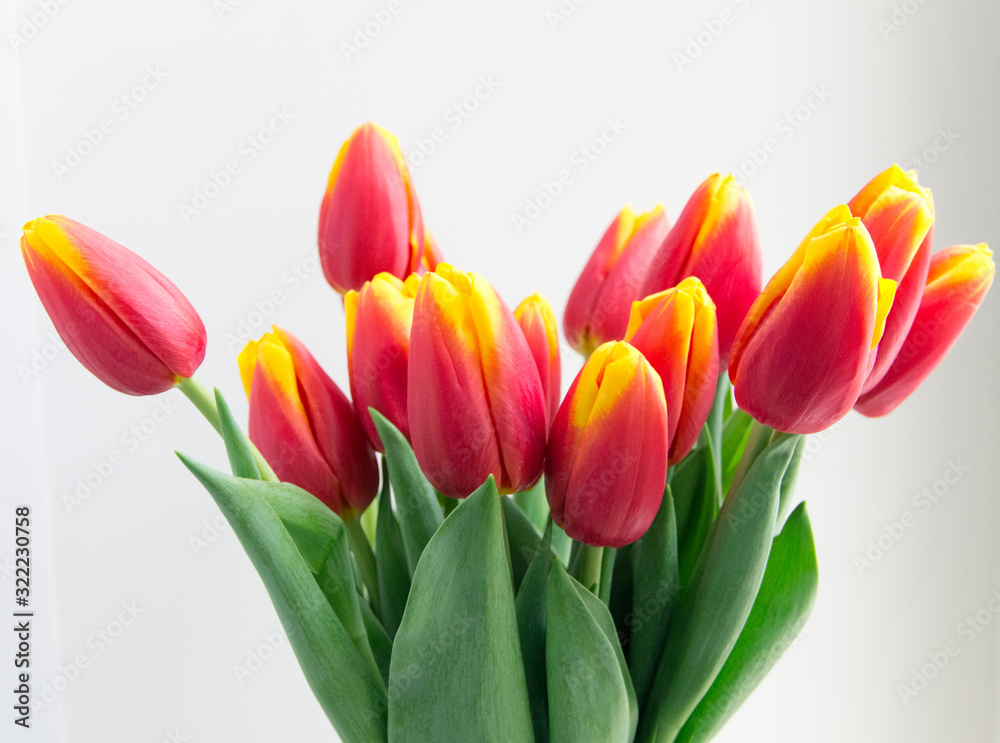 Bouquet isolated red yellow tulips in vase Bouquet isolated red yellow tulips in vase