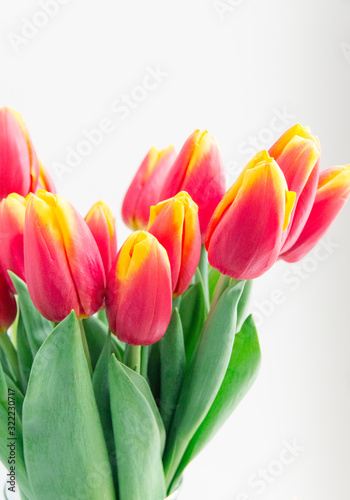 Bouquet isolated red yellow tulips in vase