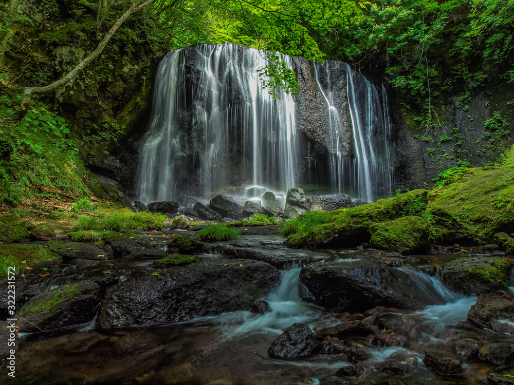 Fototapeta premium tatsuzawafudotaki falls 達沢不動滝