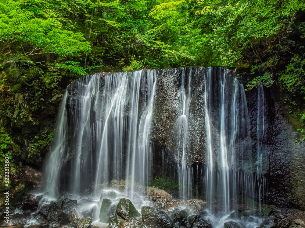 Fototapeta premium tatsuzawafudotaki falls 達沢不動滝