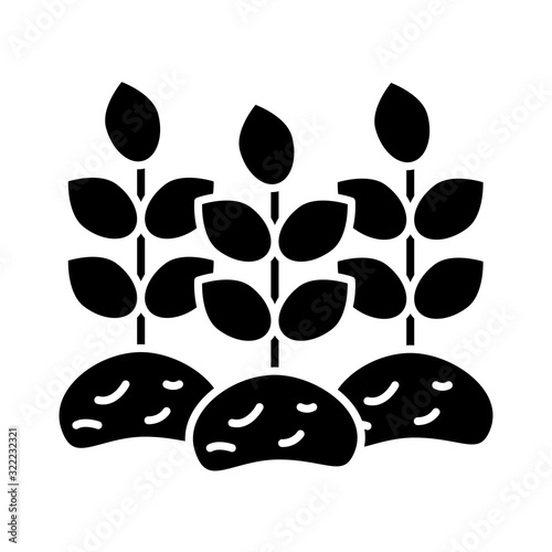 house plant cultivating isolated icon