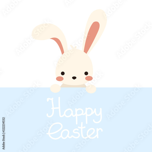 Cute  kawaii vector flat white easter bunny  rabbit with blue sign  nameplate lettering