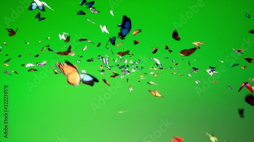 Green screen too much Butterflies