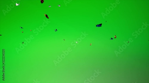 Green screen to Butterflies