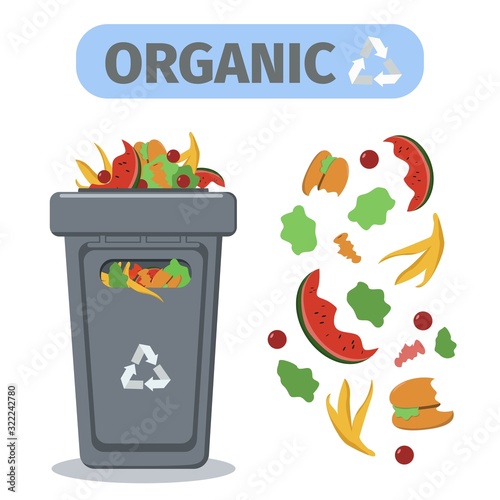 Waste bin. Garbage container for organic products. Recycling and sorting of waste. Waste management. Vector illustration in a flat style.