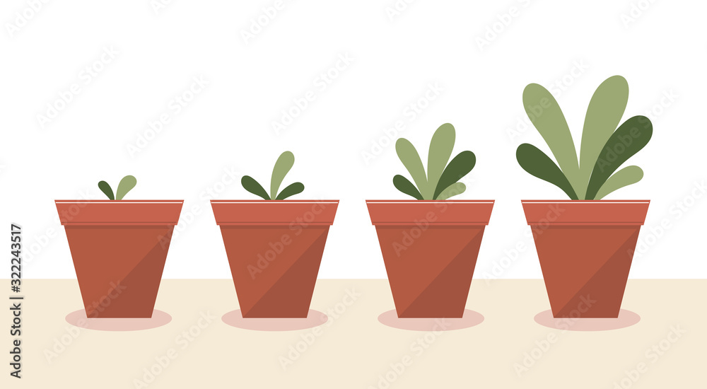 The growth of the plants.Stages of growth and development.Care, watering, fertilizer, tree, flower.Flat vector stock illustration