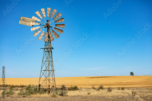 Windmill in South Australia in front of a wheatfield with a solitary tree