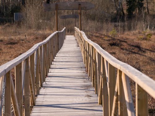 Valokuvatapetti wooden footbridge