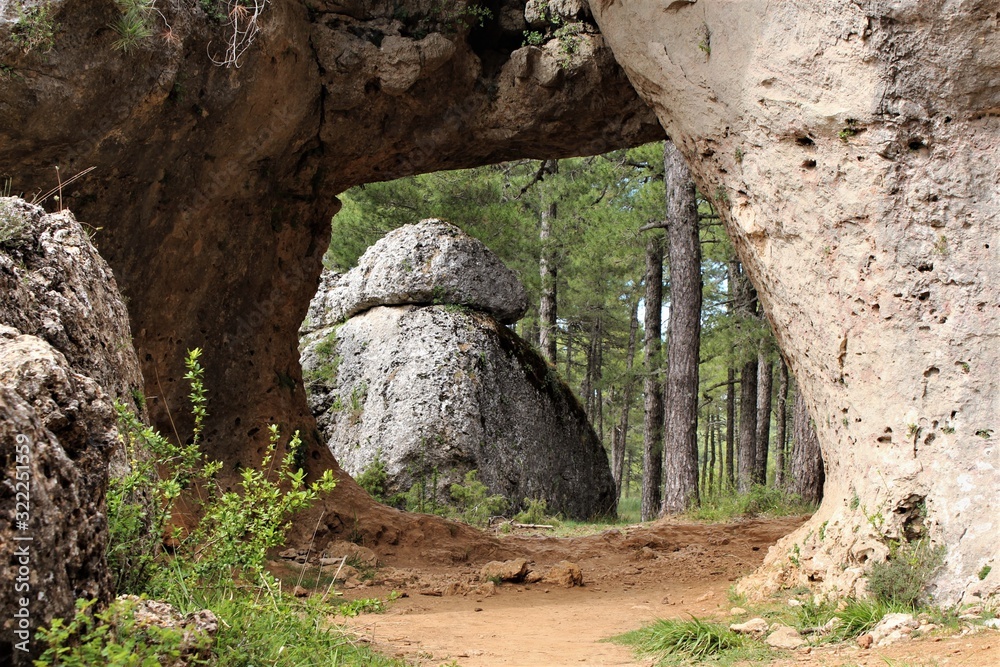 Obraz premium Mushroom rocks in Ciudad Encantada,Cuenca,Spain.photo