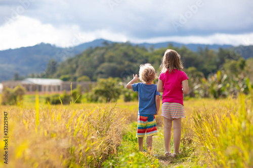 Kids visit rice plantation in Asia. Paddy field.