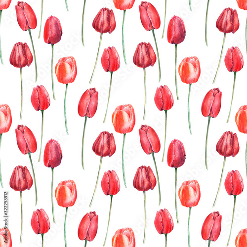 Watercolor seamless pattern with elegant red tulips. Buds  flowers and leaves