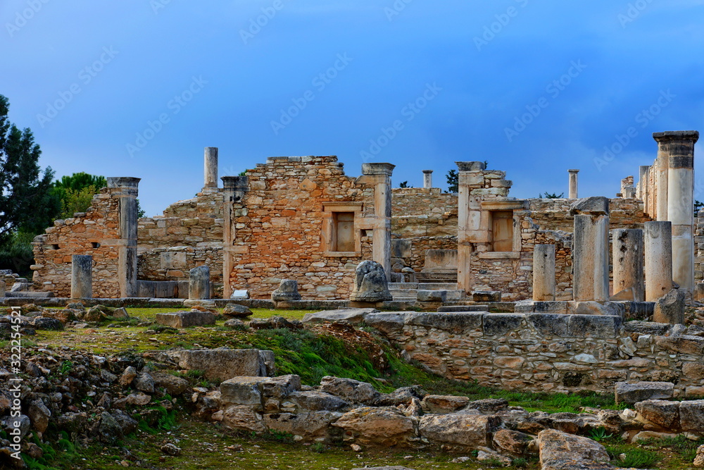 The Sanctuary of Apollo Hylates (Cyprus)