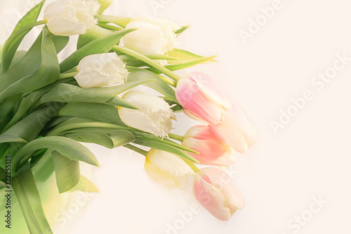Fototapeta Naklejka Na Ścianę i Meble -  airy bouquet of delicate pink and white tulips for congratulations