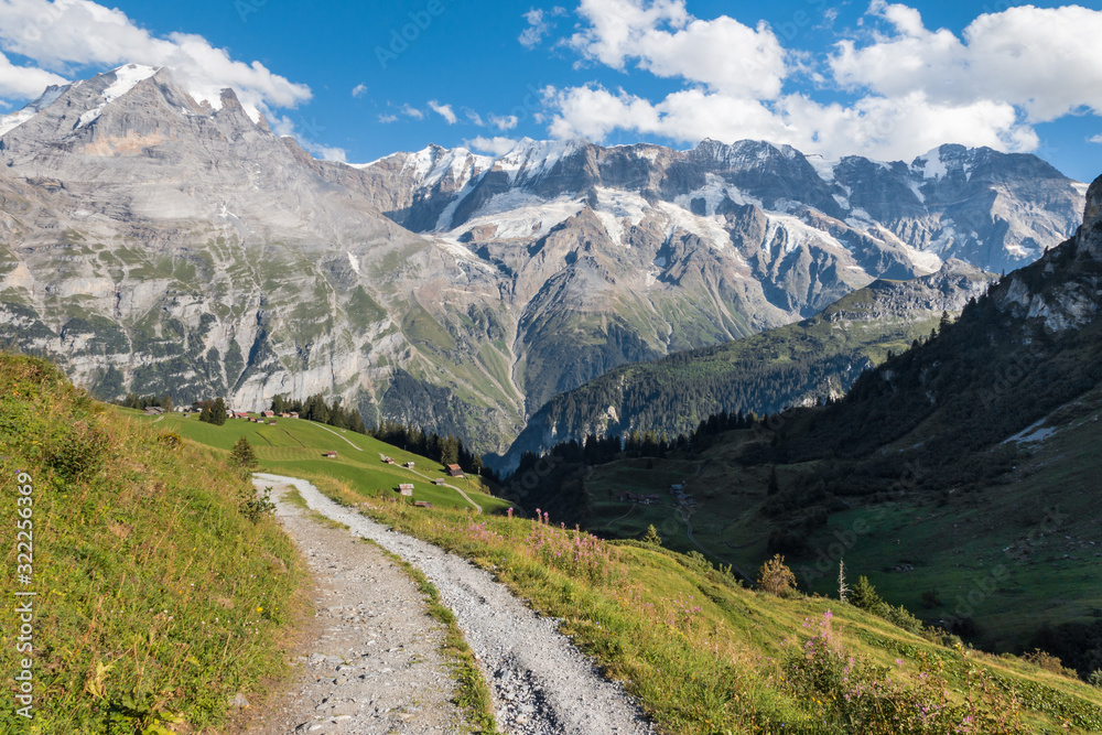 hiking track across alpine meadow in Bernese Alps, Switzerland