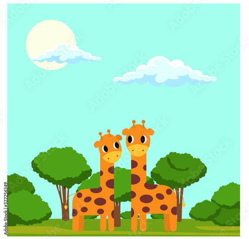A vector illustration of a family of giraffes in savannah
