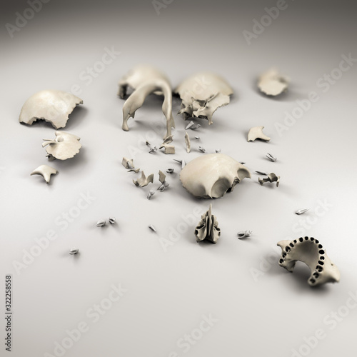 broken human skull isolated on white © aleciccotelli