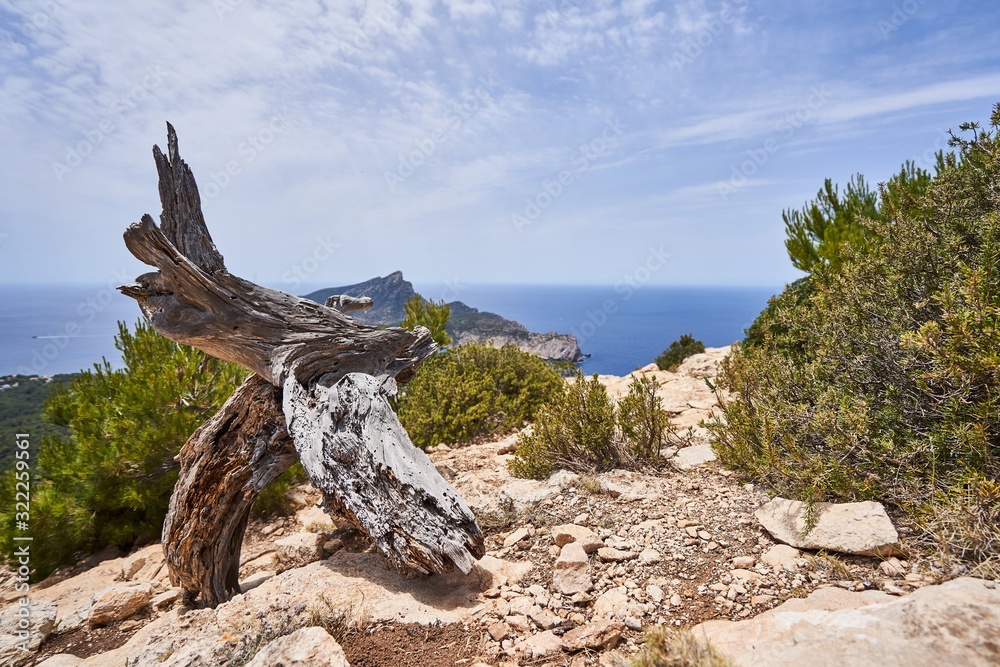 Wonderful views of the sea and the mountains of Mallorca
