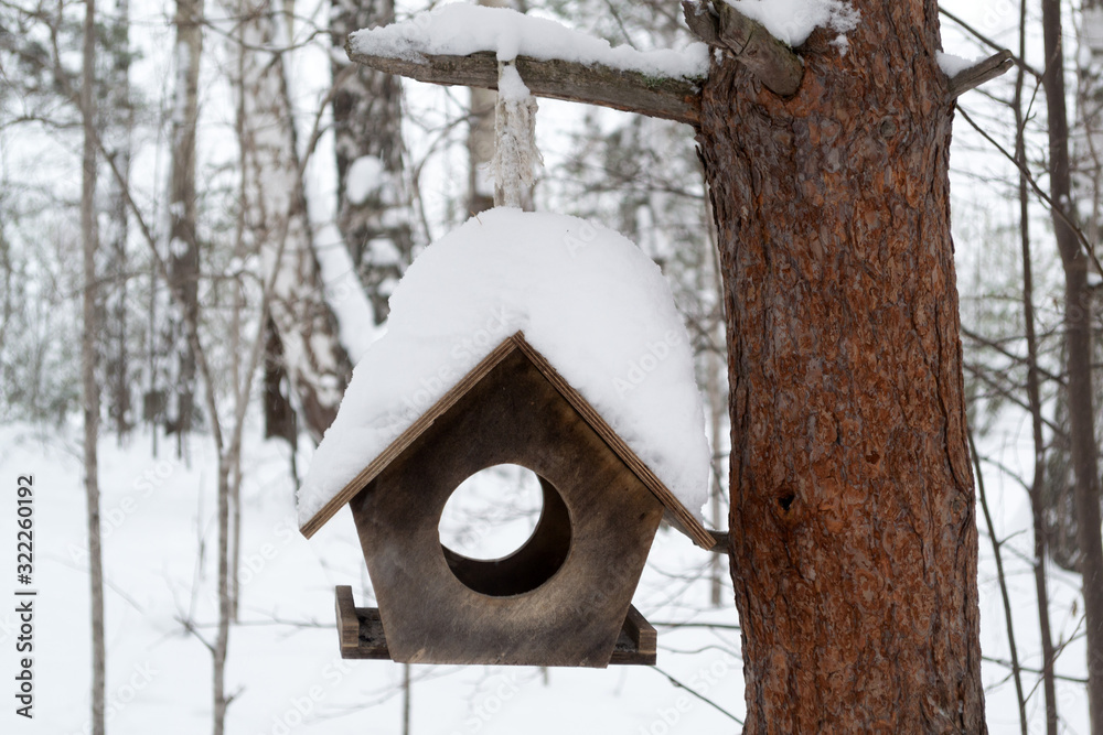 wooden birdhouse on a tree