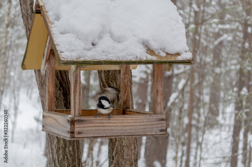 Assistance to wild birds. Wooden birdhouse covered with snow on a pine tree. Shelter for birds. © Prozhekter 