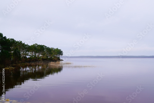 Biscarrosse lake wild coast water in cloudy winter day