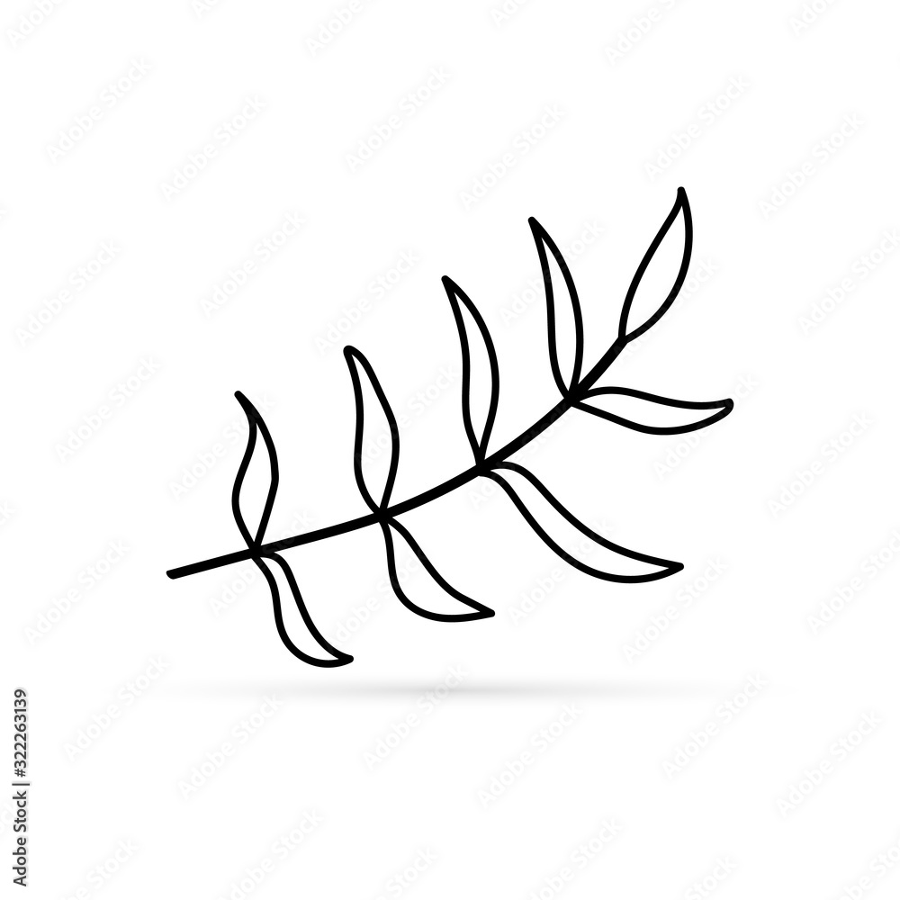 Fototapeta outline branch with leaves icon isolated on white, eco logo, kids hand drawing art line, spring, summer, autumn, bundle sticker of leaf, sketch vector stock illustration