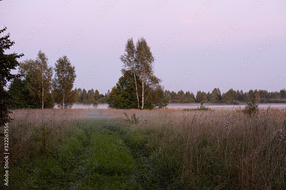 Foggy morning. Natural landscape with water vapor. Fairy forest. Wet weather. Beauty of nature. Foggy morning. Natural landscape with water vapor. Fairy forest. Wet weather. Beauty of nature.