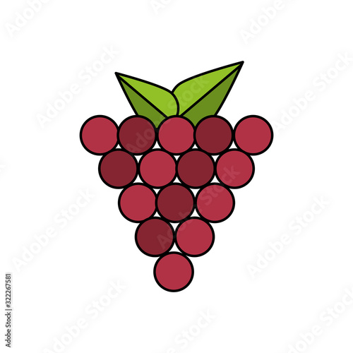 grapes fresh fruits isolated icon