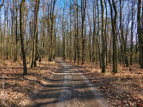 Fototapeta Naklejka Na Ścianę i Meble -  Słoneczny dzień w jesiennym parku