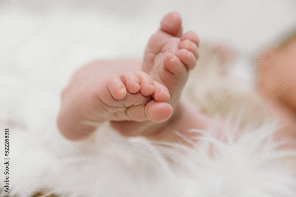 Baby feet - cute newborn - happy family moments Baby feet - cute newborn - happy family moments
