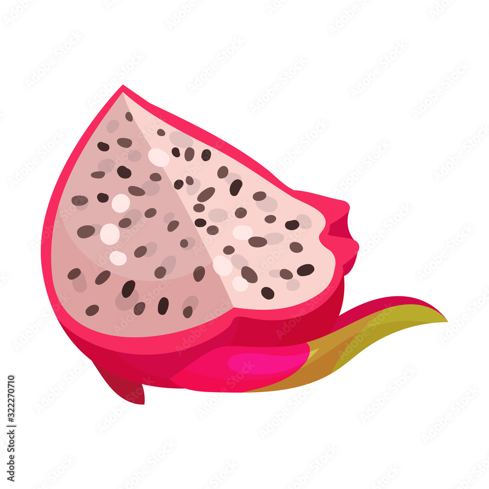 Pitaya or Dragon Fruit Cut Section Covered with Leathery Leafy Skin Vector Illustration