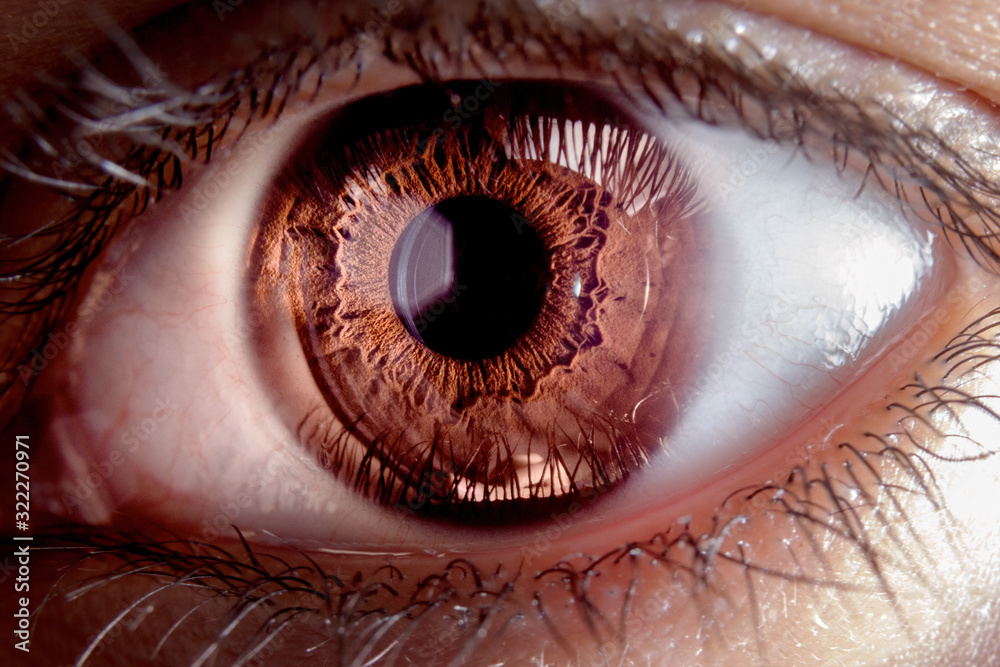 Naklejka premium Ojos espectaculares