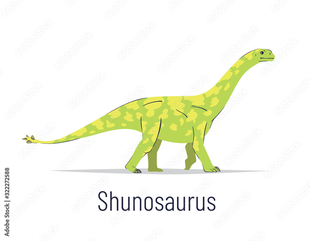 Obraz premium Shunosaurus. Sauropodomorpha dinosaur. Colorful vector illustration of prehistoric creature shunosaurus in hand drawn flat style isolated on white background. Huge fossil dinosaur.