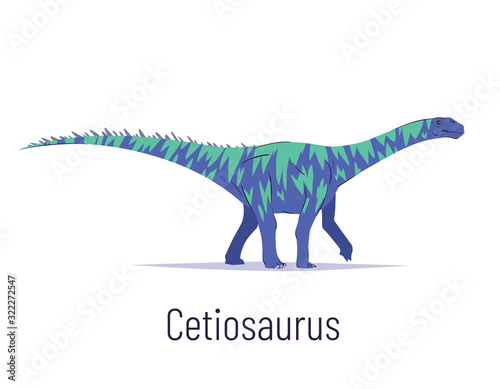 Cetiosaurus. Sauropodomorpha dinosaur. Colorful vector illustration of prehistoric creature cetiosaurus in hand drawn flat style isolated on white background. Huge fossil dinosaur. photo