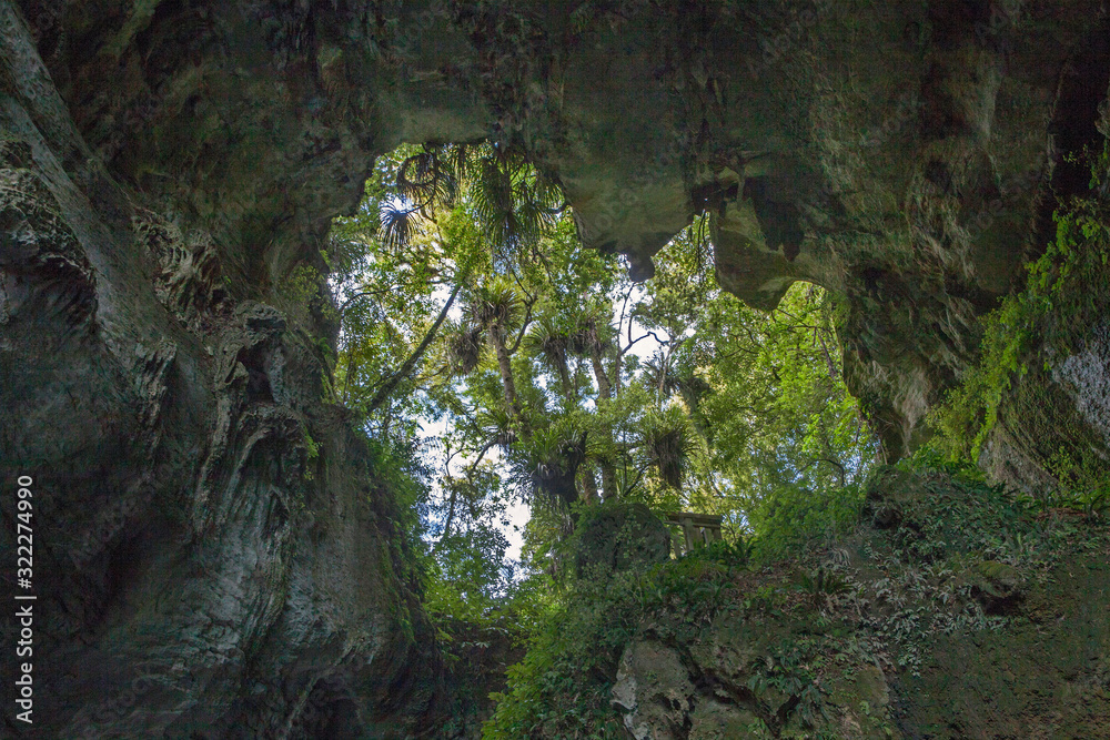 Mangapohue Natural Bridge Forest New Zealand Caves